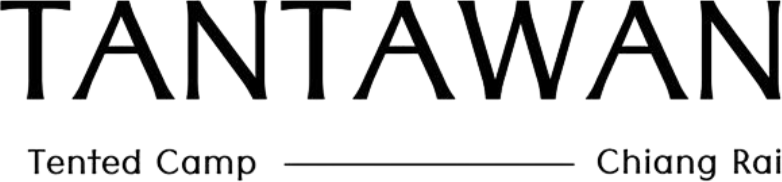 Logo Text
