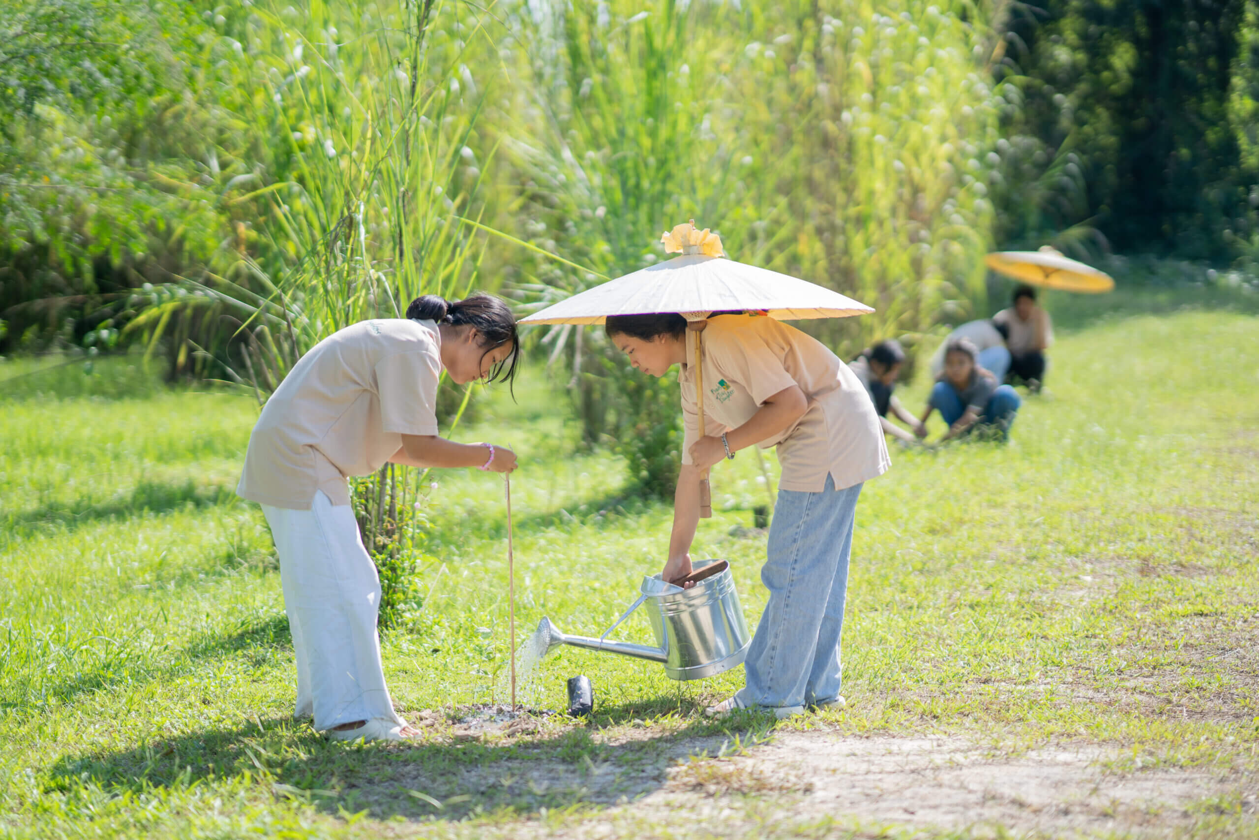FTD_Tree Planting 1